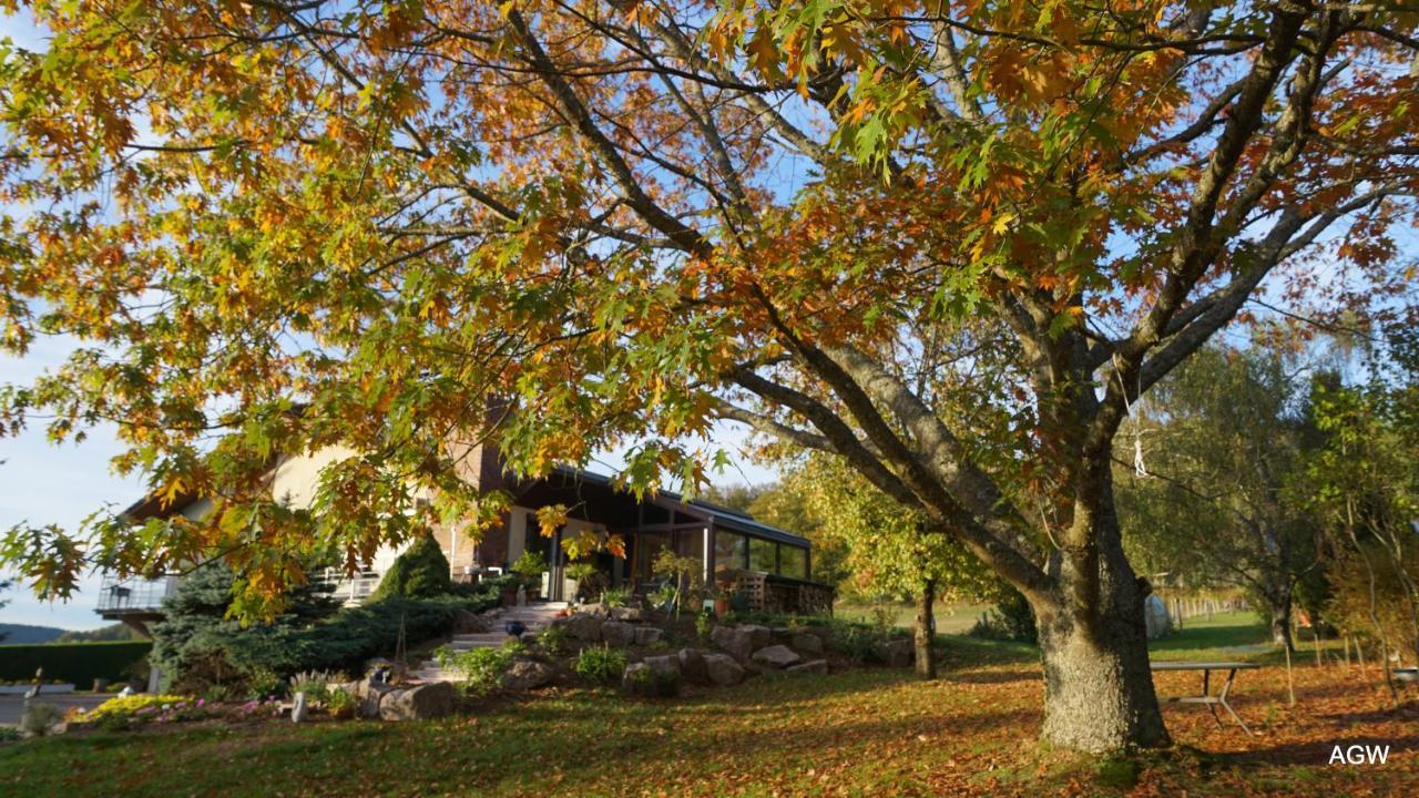 D'hotes De L'avison Bed & Breakfast *